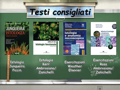 Ppt Modulo Di Citologia Ed Istologia Powerpoint Presentation Free