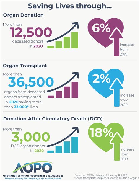 Organ Donation Statistics Show Record Year Aopo