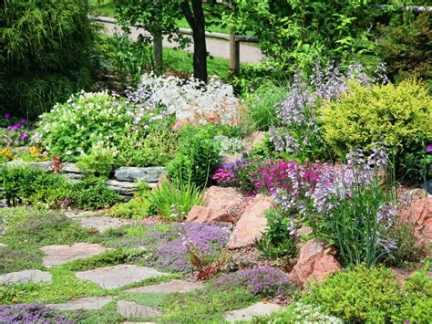 Creating A Rocky Crevice Garden At Home Gardening Know How