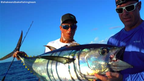 The Big Yellowfin Tuna At The Northwest Providence Channel Freeport