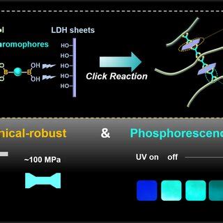 Mechanical Responses And Schematic Representation Of The