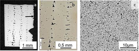 Cross Section And Microstructure Of WC 10Co Samples Made By FFF A