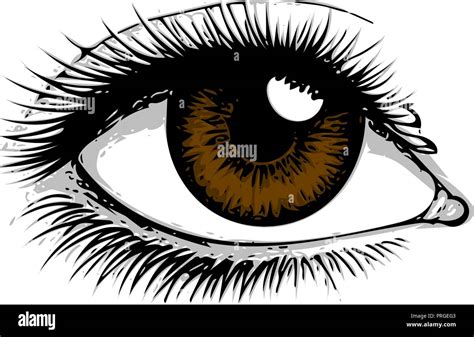 Ojo sobre fondo blanco. Ojos art. mujer ojo. El logotipo del ojo. Ojos ...