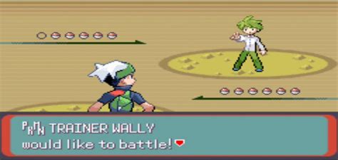 Pokemon Wally And Ruby