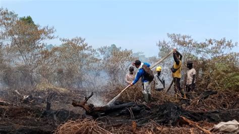 Hektare Lahan Gambut Di Nagan Raya Aceh Terbakar