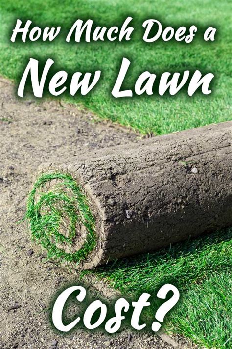 How Much Does A New Lawn Cost?