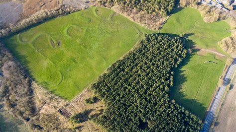 Reforestation Microsite