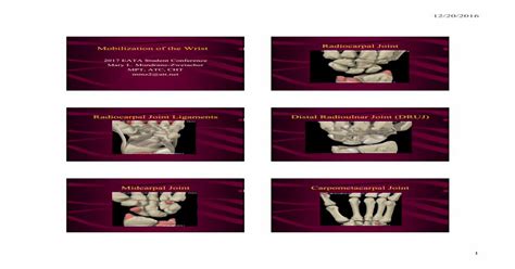 Mobilization Of The Wrist Radiocarpal Joint Pdf Document