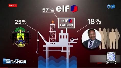 Total Nergies Gabon La V Rit Sur L Actionnariat Et Les Des