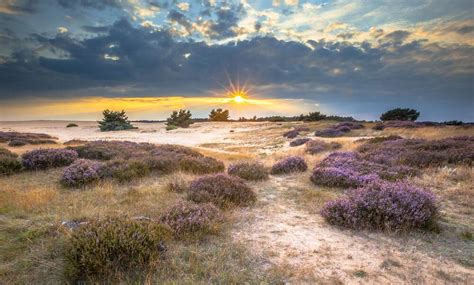 National parks in the Netherlands