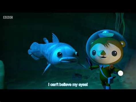 Octonauts Series 4 Octonauts And The Coelacanth YouTube