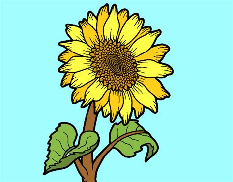 Dibujo De Un Girasol Pintado Por En Dibujos Net El D A A Las