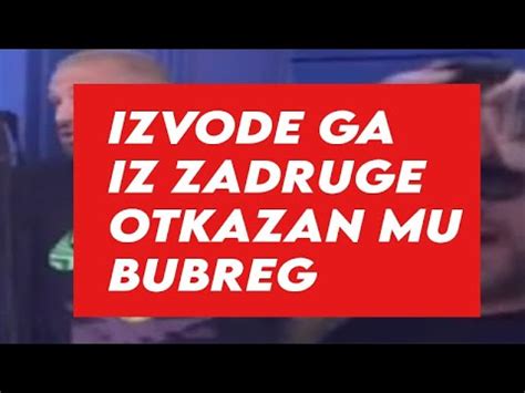 IZVODE GA IZ ZADRUGE OTKAZAO MU BUBREG TOTALNI ŠOK U ZADRUZI YouTube