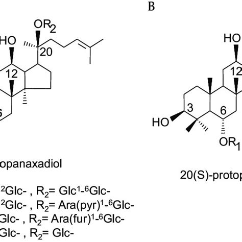 Chemical Structures Of Ginsenosides A S Protopanaxadiol B