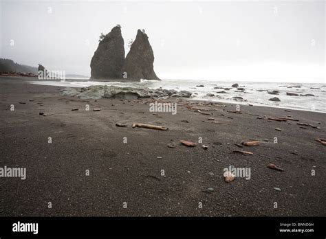 Sea Stacks At Rialto Beach Olympic National Park Washington Stock