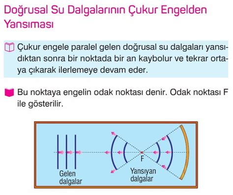 Su Dalgalar Dalgas Konu Anlat M Sorular Z Mleri Ders Notu