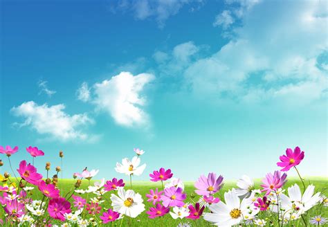 Spring Wallpapers Hd Download Free Pixelstalknet