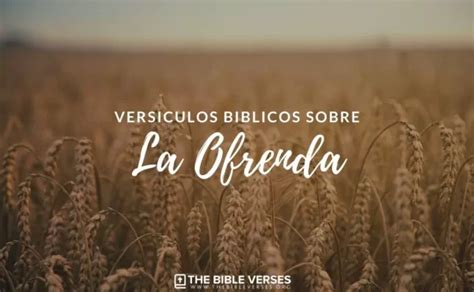 20 Versículos de la Biblia sobre La Ofrenda Textos Bíblicos