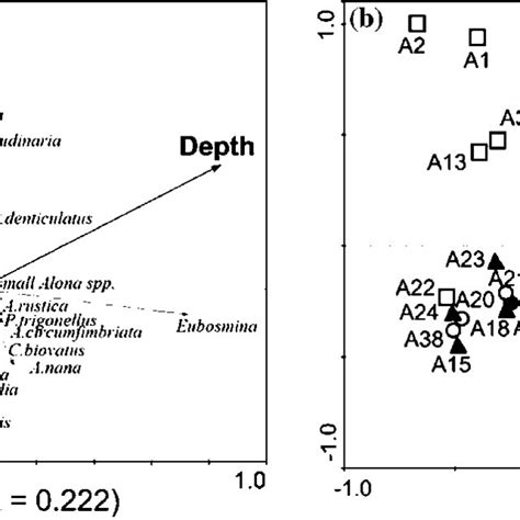 Redundancy Analysis Rda Biplots Illustrating The Relationship Between