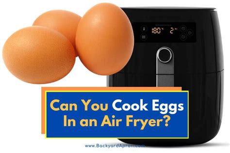 Can You Cook Eggs In An Air Fryer Fried Boiled More