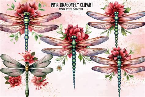 Pink Dragonfly Flower Watercolor Clipart Graphic By Ak Artwork