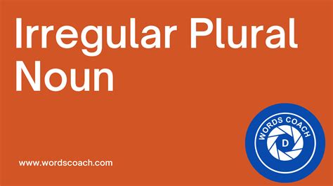 Irregular Plural Noun Word Coach