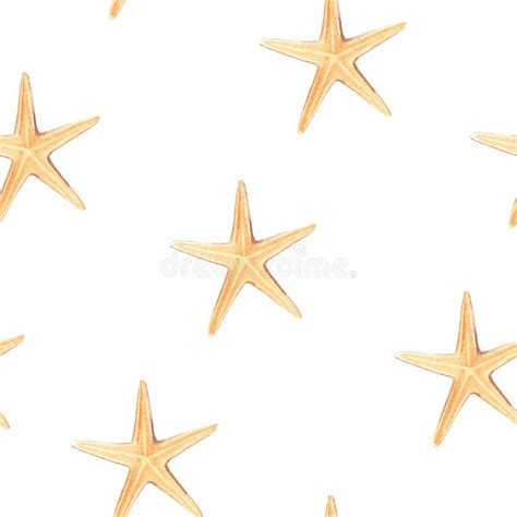 Starfish Watercolor Stock Illustrations 9023 Starfish Watercolor