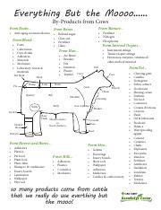 Discover the Surprising Uses of Cow By-Products | Course Hero