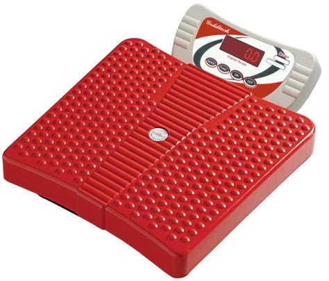 Digital Body Weight Home Scale At Best Price In New Delhi Goldtech