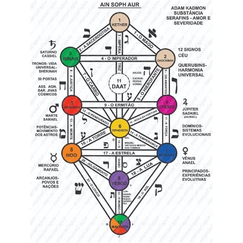 Árvore da vida cabala Tarô Árvore do Mundo Árvore de Gênesis Tarô