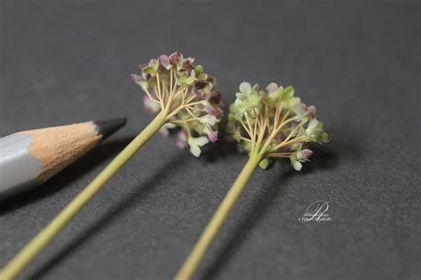 Miniatures Et Maisons De Poupees Plantes Et Fleurs Artofit