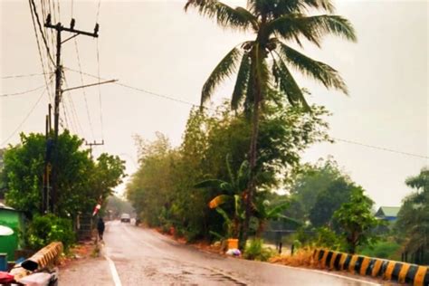 Hujan Bantu Penanganan Karhutla Di Tapin ANTARA News Kalimantan Selatan