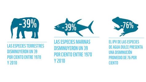 Qu Es El Informe Planeta Vivo Ecolog A