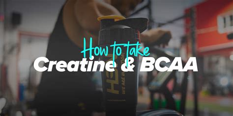 How To Take Creatine And Bcaas Together Effectively Hsn