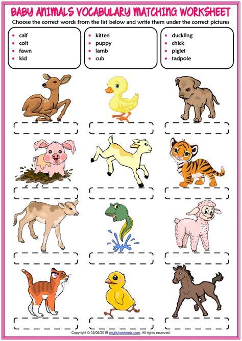 baby animal names Worksheet - WordMint - Worksheets Library