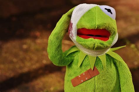 500 Free Kermit And Frog Images Pixabay