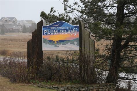 Plum Island beaches reopen after bacteria in swimming waters tested