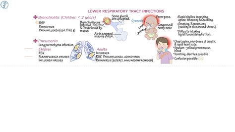 Pathology Lower Respiratory Tract Infections Draw It To Know It