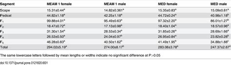 Lengths Of The Scape Pedicel And Flagellum In The Two Cryptic B