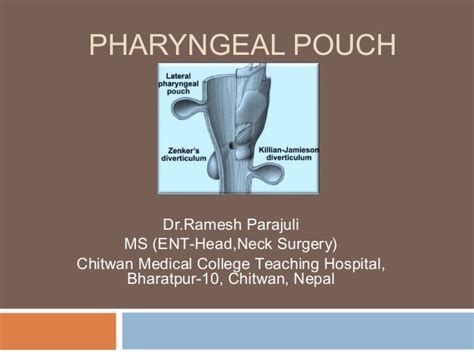 Pharyngeal pouches