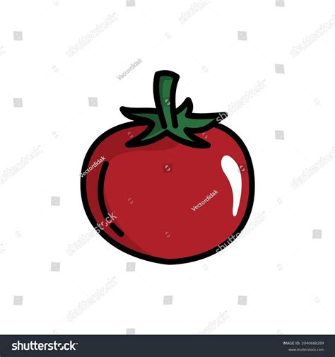 Tomato Vegetable Illustration Tomato Isolated Single Stock Vector