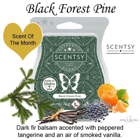 Black Forest Pine Scentsy Bar The Candle Boutique Scentsy Uk Consultant