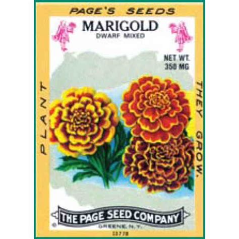 Marigold Flower Seed Packet Promotional Product Ideas By