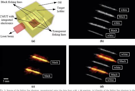 Figure 3 From Three Dimensional Photoacoustic Imaging Using A Two