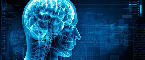 Overview - Movement Neurophysiology Laboratory - Mayo Clinic Research