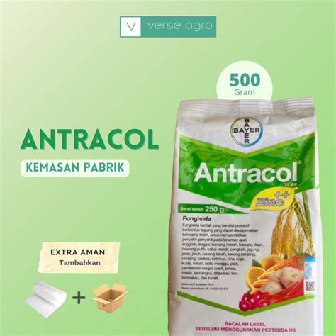 Jual FUNGISIDA ANTRACOL 70 WP ZINC KEMASAN PABRIK 500 GRAM Shopee