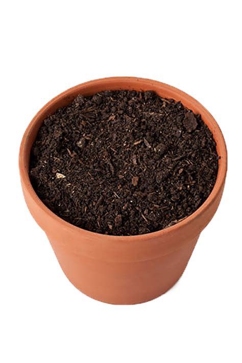 Soil Png Transparent Image Download Size 500x750px