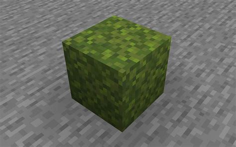 How To Get And Use Moss Blocks In Minecraft 1 19