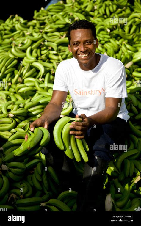 Fairtrade Banana Worker From Colombia Stock Photo Alamy