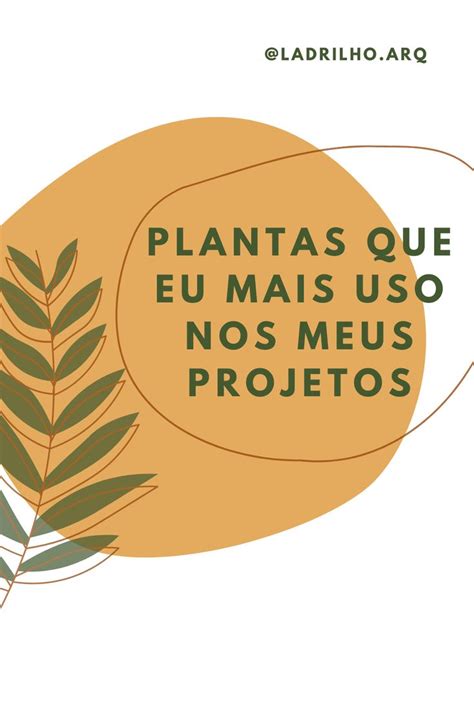 Essas são as plantas que mais uso nos meus projetos de arquitetura